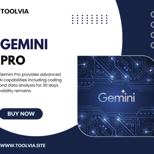 Gemini Pro
